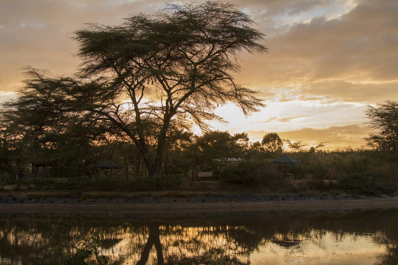 Ziwa Bush Lodge Nakuru Bagian luar foto